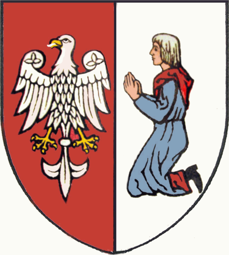 Przejdź do: 